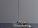 DSC_7423001.jpg