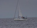 DSC_7436001.jpg