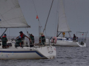 DSC_7442001.jpg