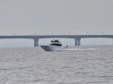 DSC_7444001.jpg