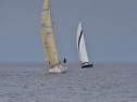 DSC_7451001.jpg