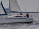 DSC_7472001.jpg