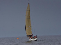 DSC_7487001.jpg