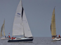 DSC_7488001.jpg