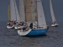 DSC_7495001.jpg