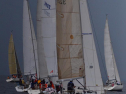 DSC_7499001.jpg
