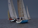 DSC_7500001.jpg