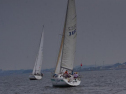 DSC_7510001.jpg