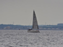 DSC_7519001.jpg