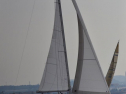 DSC_7526001.jpg