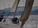 DSC_7530001.jpg