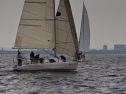 DSC_7533001.jpg