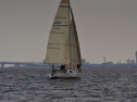 DSC_7534001.jpg