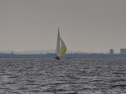 DSC_7543001.jpg