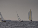 DSC_7545001.jpg