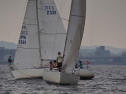 DSC_7553001.jpg