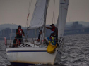 DSC_7562001.jpg