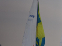 DSC_7567001.jpg