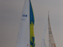 DSC_7568001.jpg