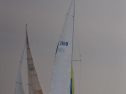 DSC_7569001.jpg
