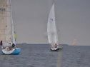 DSC_7593001.jpg