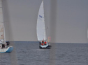 DSC_7594001.jpg