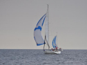 DSC_7605001.jpg