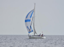 DSC_7608001.jpg