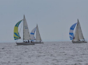 DSC_7619001.jpg