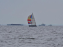 DSC_7620001.jpg