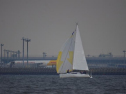DSC_7627001.jpg