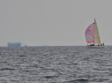 DSC_7630001.jpg