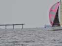 DSC_7631001.jpg