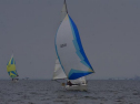 DSC_7639001.jpg