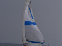 DSC_7645001.jpg