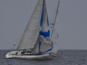 DSC_7646001.jpg