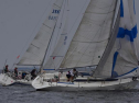 DSC_7647001.jpg