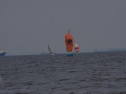 DSC_7653001.jpg