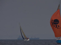 DSC_7654001.jpg