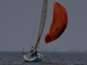 DSC_7657001.jpg