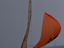 DSC_7658001.jpg