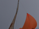 DSC_7659001.jpg