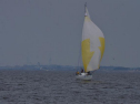 DSC_7666001.jpg