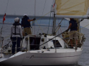 DSC_7673001.jpg