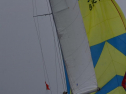 DSC_7697001.jpg