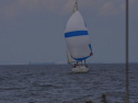 DSC_7698001.jpg