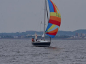 DSC_7704001.jpg