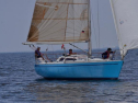 DSC_7716001.jpg