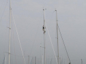 IMG_1771001.jpg