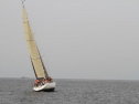 IMG_1779001.jpg